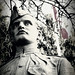 Brian Haines Photo 11