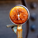 Rusty Dial Photo 10
