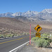 John Quiles Photo 10