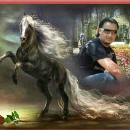 Al Ali Photo 11