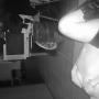 Gina Chaves Photo 7