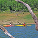 Kay Hogan Photo 13