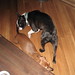 Roger Bailey Photo 16