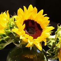 Betsy Samayoa Photo 2