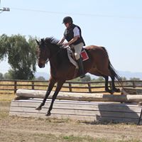 Debbie Opp Photo 8