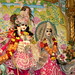 Radhakrishna Hari Photo 6