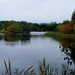 Wendy Forbes Photo 7