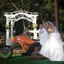 Tanya King Photo 16