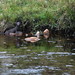 Glen Mink Photo 6