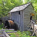 John Cable Photo 7