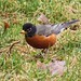 Robin Snider Photo 6