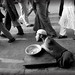 Marc Polite Photo 3