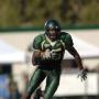 Ronald Richardson Photo 31