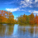 Robert Herbst Photo 10