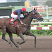 Felipe Pardo Photo 13