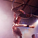 Paul Vires Photo 7