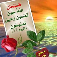 Abdo Abdo Photo 23