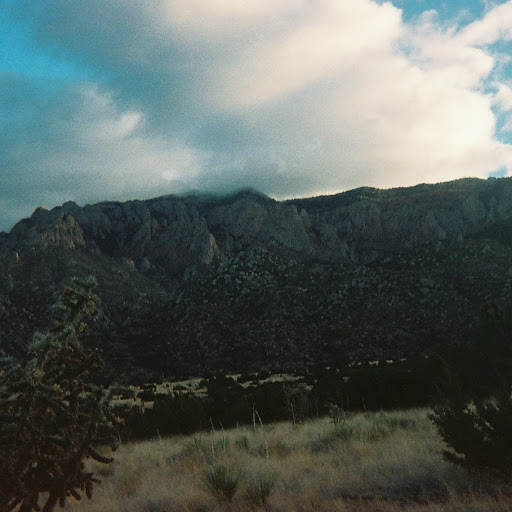Linda Pruitt Photo 38