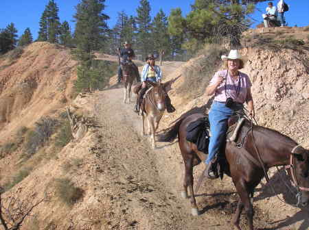 Linda Blankenship Photo 15