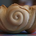 Michele Pane Photo 9