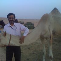 Sampath Narayanan Photo 18