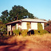 Carey Hodge Photo 4