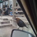 Sean Morey Photo 9
