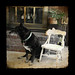 Brad Reno Photo 8