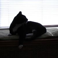 Alex Charland Photo 4
