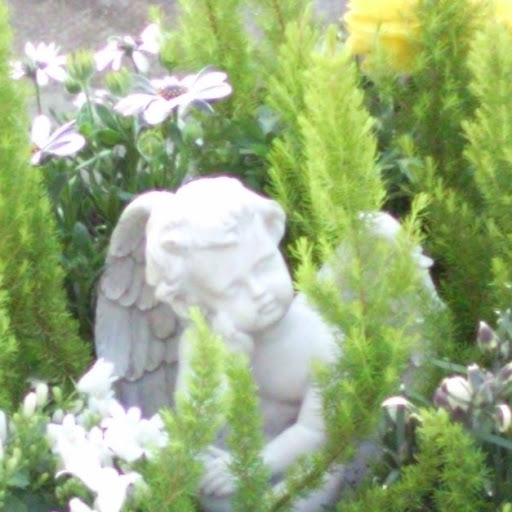 Geraldine Kuhn Photo 4