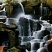 Virginia Fell Photo 3