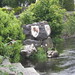 Tom Ennis Photo 12
