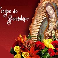Rosa Magdaleno Photo 8