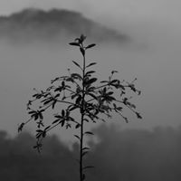 Enrique Ruiz Photo 24