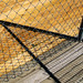 Mike Boring Photo 6