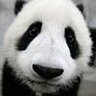 Rui Feng Photo 18
