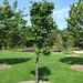 Jane Anderson Photo 14