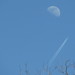 Moon Bennett Photo 8