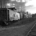 Don Puryear Photo 2