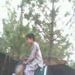 Arsalan Jan Photo 2