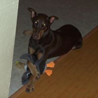 Jenifer Plummer Photo 2