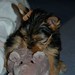 James Rambo Photo 8