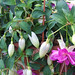Lee Leonhart Photo 6