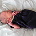 Addison Thomas Photo 13