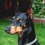 Doreen Wagner Photo 16