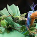 Scott Jernigan Photo 10