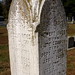 Howard Carey Photo 11