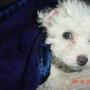 Beth Griswold Photo 9