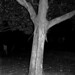 James Howe Photo 16