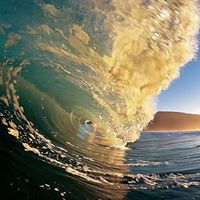 Kerry Bradwell Photo 3
